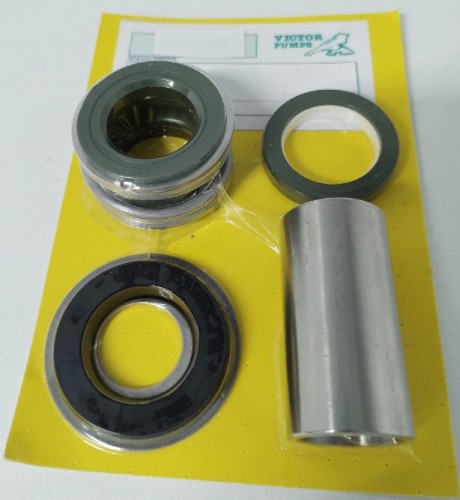 Victor mechanical seal SIC/CER/FKM voor S40, S41, S42 EN YCV, B19.31(2)